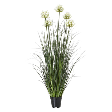 Lifelike white agapanthus faux flowers in sleek black pot, perfect for modern decor  by Sostter at brixbailey.com