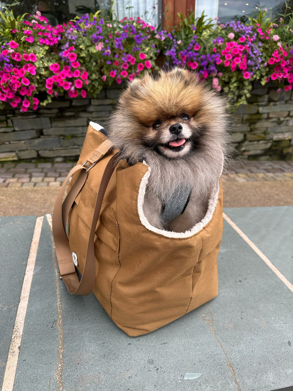 Soho Poms Light Brown & Cream Rainy Bear Pet Carrier - Ideal for Dogs & Cats