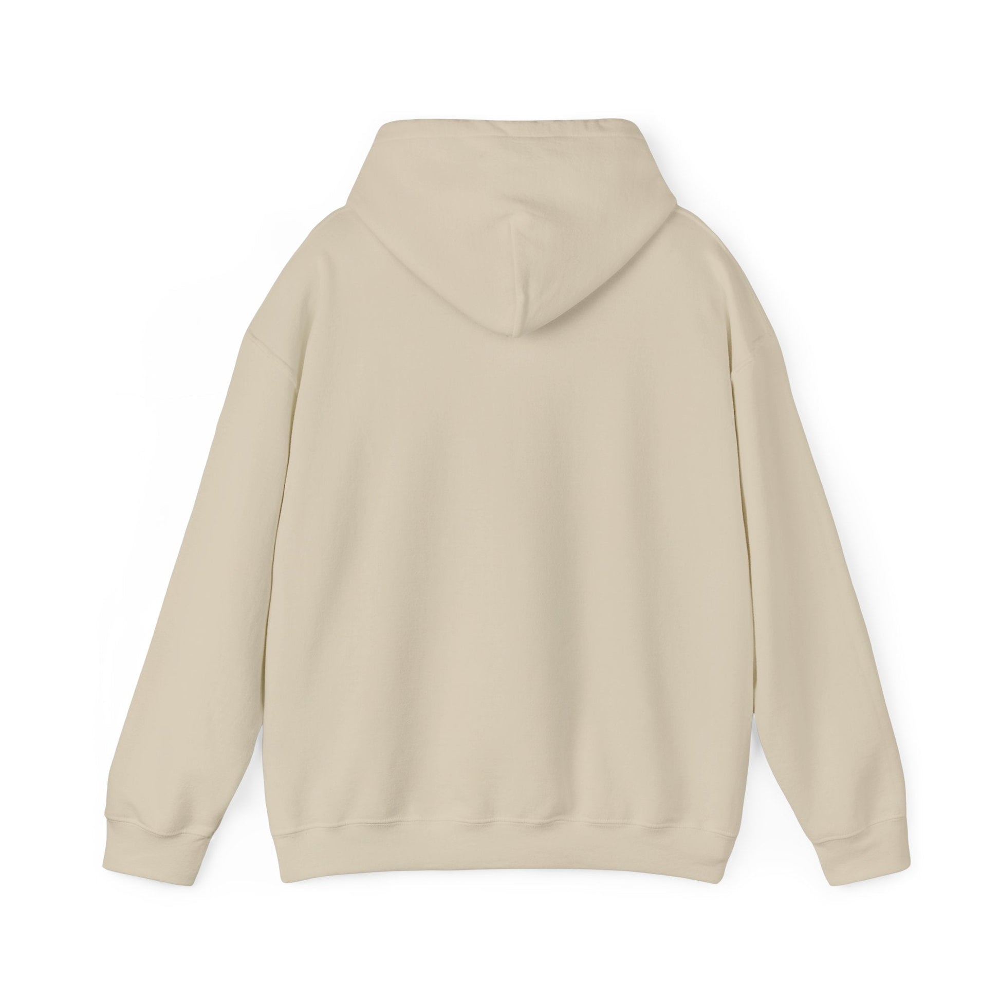 Just an Analog Guy in a Digital World Hooded Sweatshirt