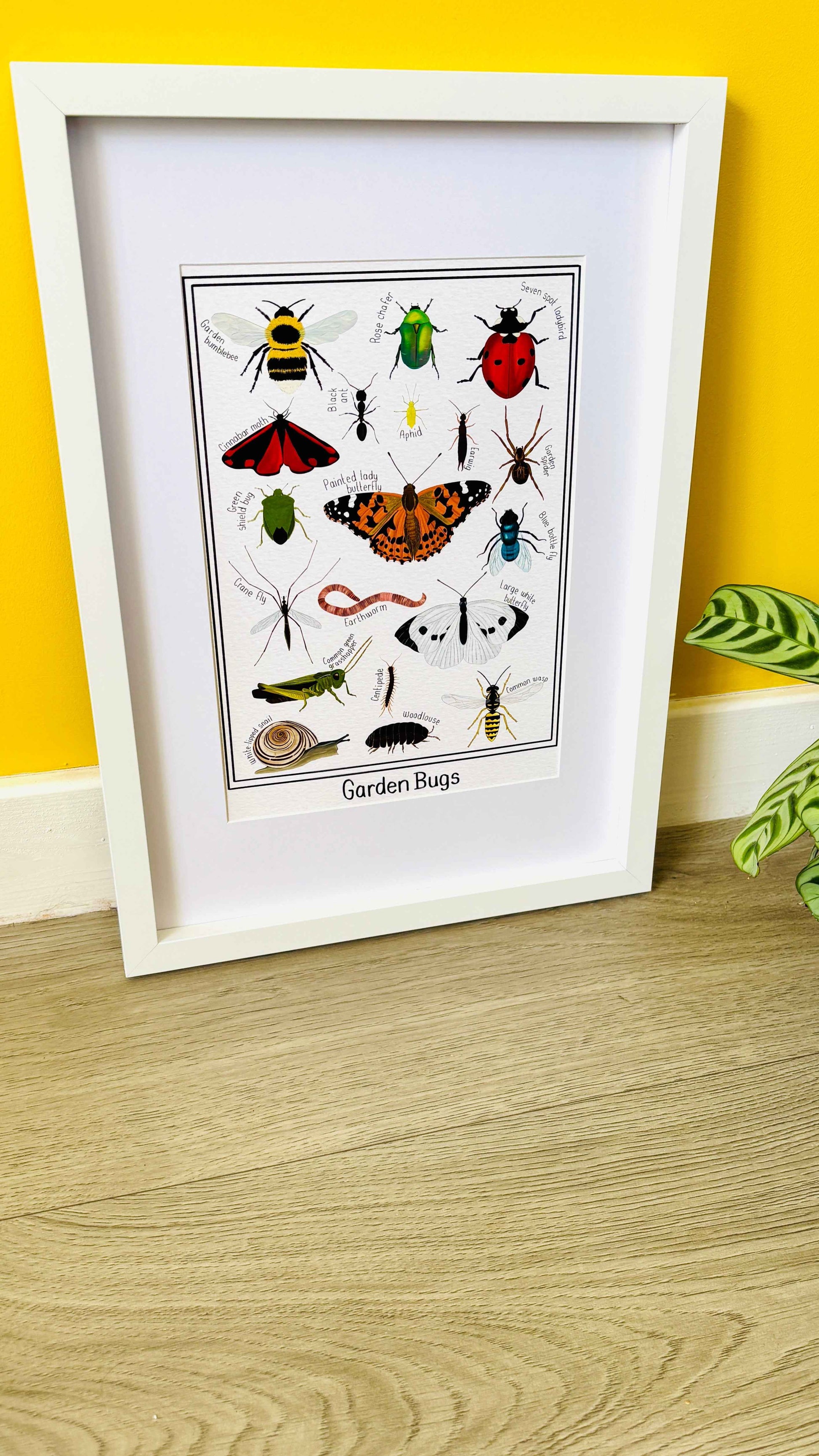 Garden Bug Wall Art Print: Nature Inspired Educational Prints