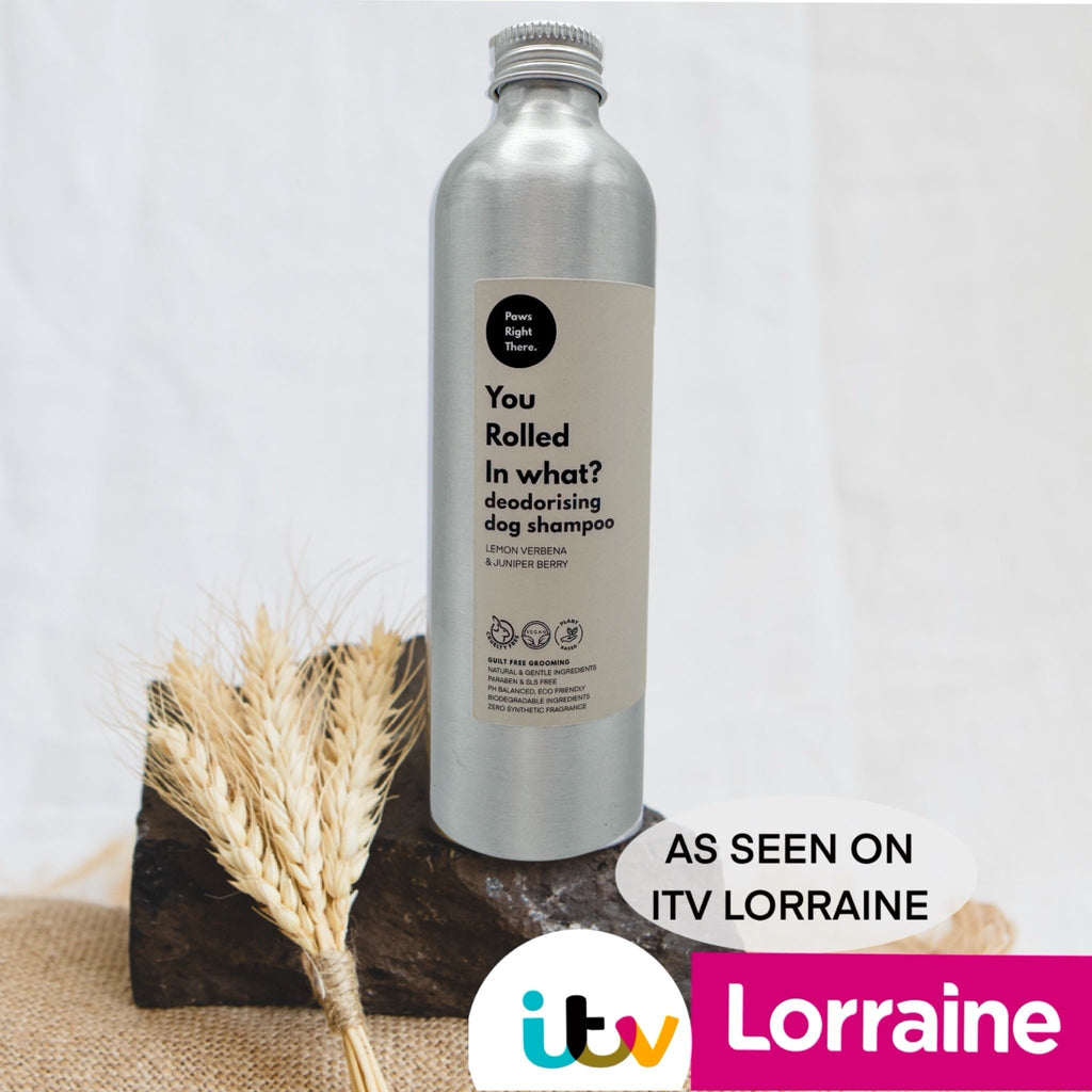 You Rolled in What Deodorising Dog Shampoo