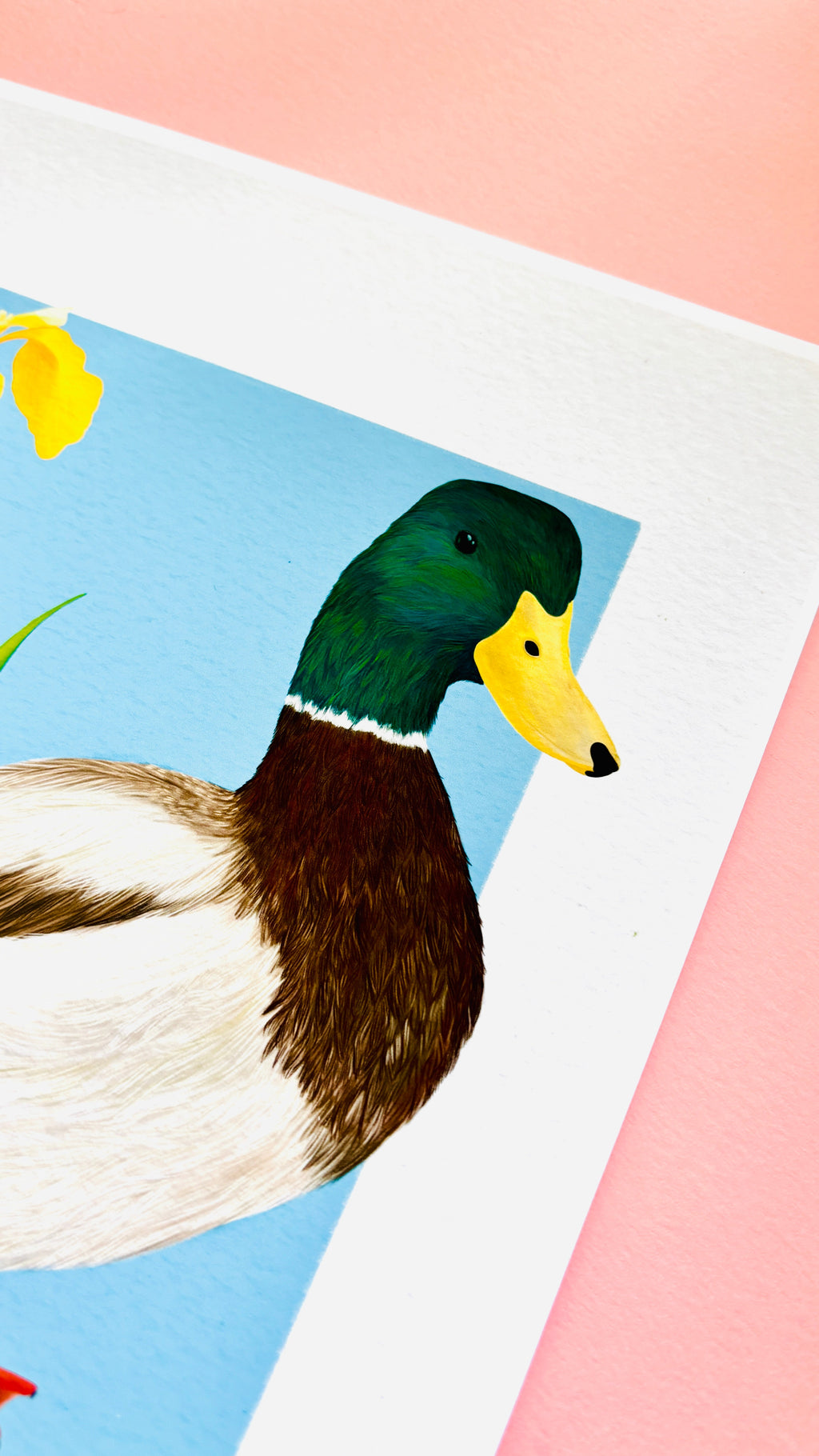 Mallard Duck Art Print- British Wildlife Illustration for Nature Lovers