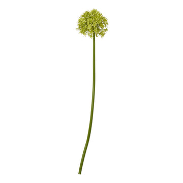 Vibrant green artificial allium stem with spherical bloom, 80cm tall, for lifelike home decor by Sostter at brixbailey.com