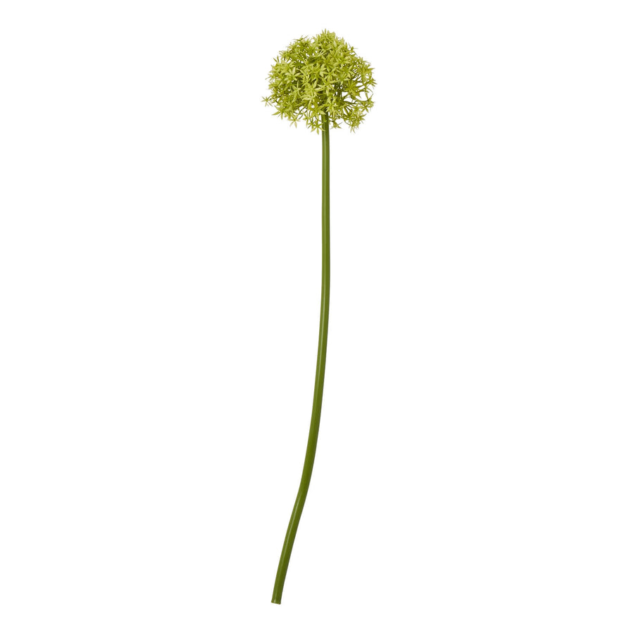 Vibrant green artificial allium stem with spherical bloom, 80cm tall, for lifelike home decor by Sostter at brixbailey.com
