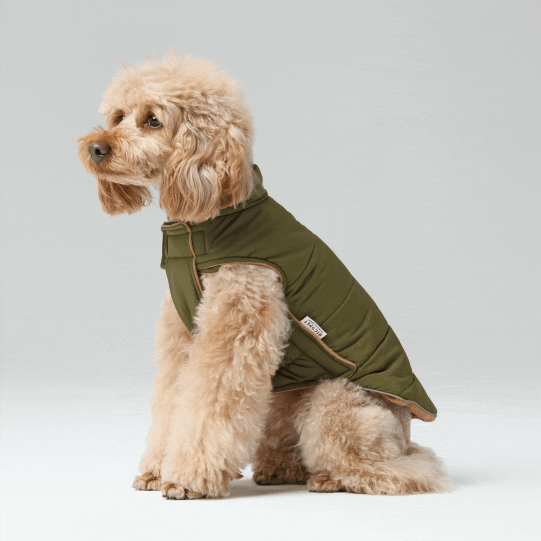 Reversible Dog Vest Jacket in Green and Brown