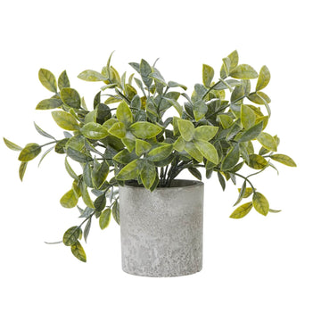 Lifelike small faux box plant in modern grey pot, vibrant green leaves, perfect for shelves or desks  by Sostter at brixbailey.com