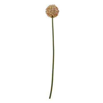 Lifelike pink allium artificial stem, soft feathery texture, 75cm tall floral decor for vases  by Sostter at brixbailey.com