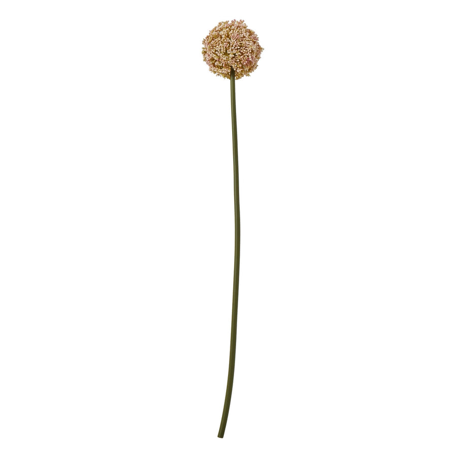 Lifelike pink allium artificial stem, soft feathery texture, 75cm tall floral decor for vases  by Sostter at brixbailey.com