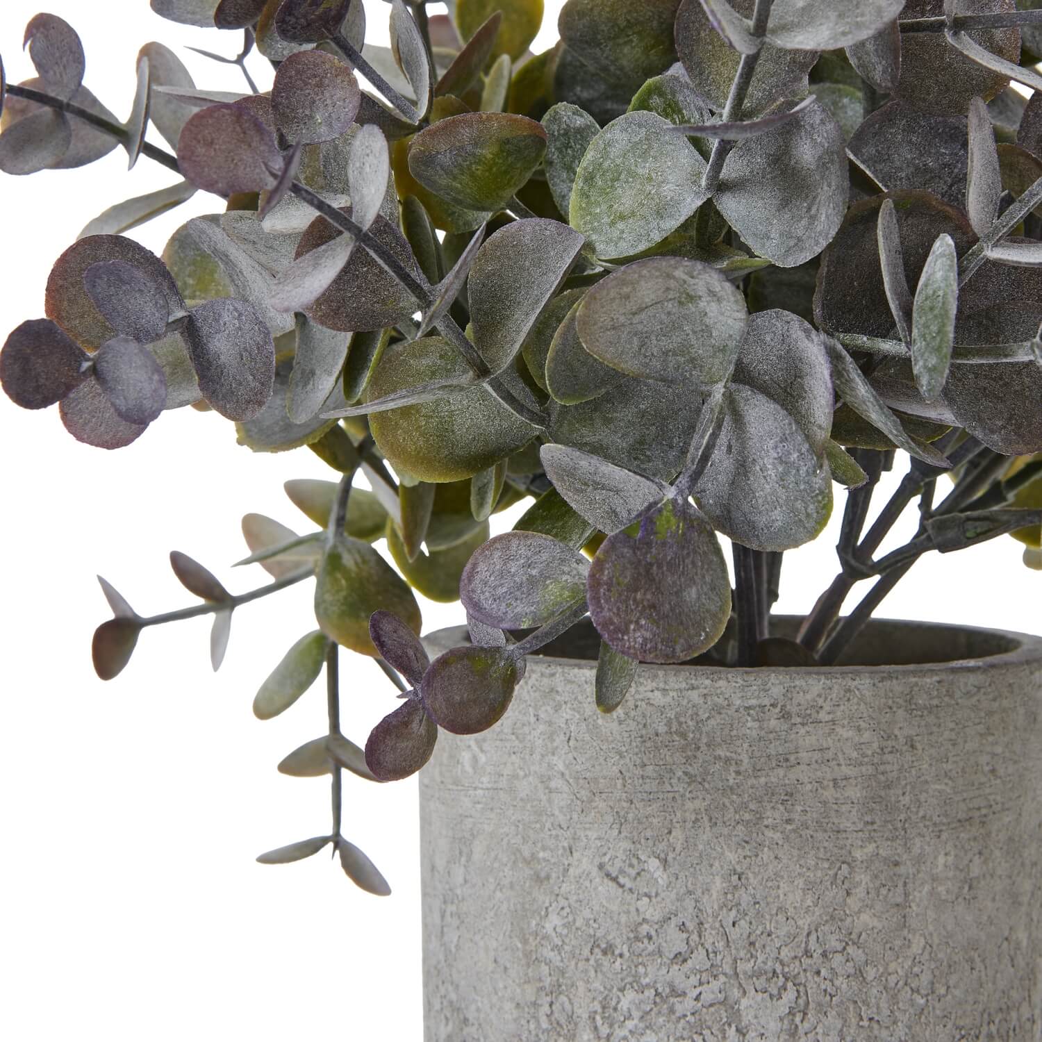 Small artificial eucalyptus plant in grey concrete pot, silvery-blue foliage, lifelike decor for shelves or desks by Sostter at brixbailey.com