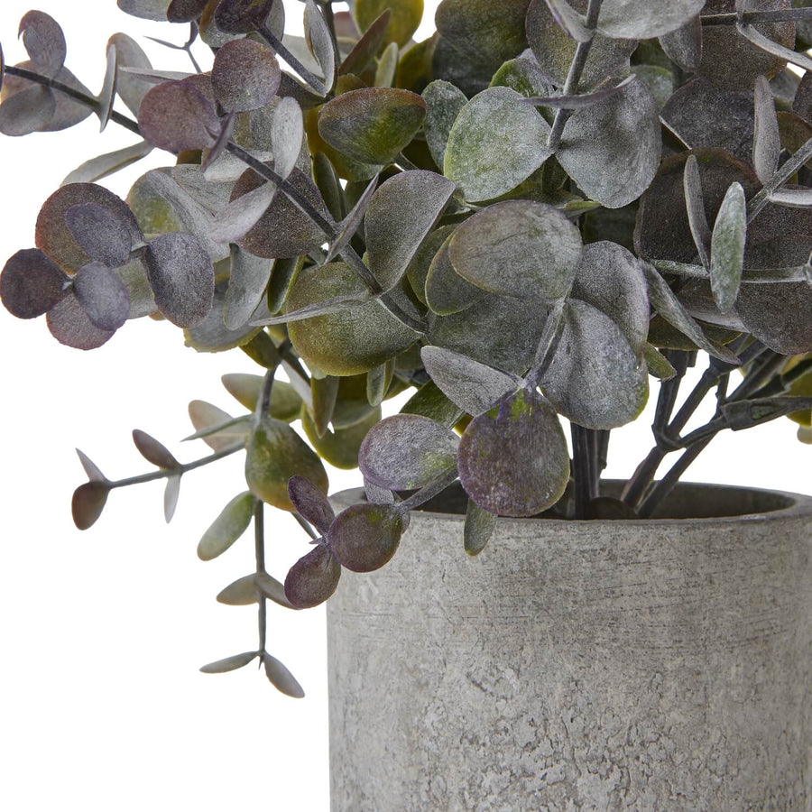 Small artificial eucalyptus plant in grey concrete pot, silvery-blue foliage, lifelike decor for shelves or desks by Sostter at brixbailey.com