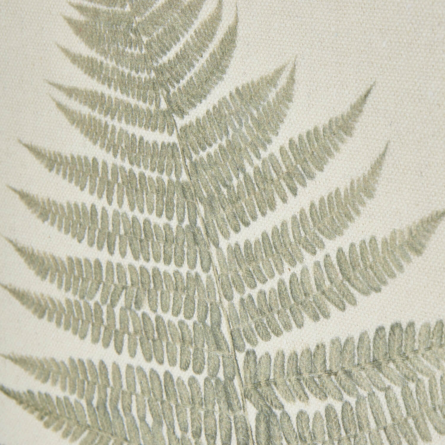 Handcrafted framed fern artwork with preserved bracken, white beaded frame, and textured background for wall decor. by RoomLondon at brixbailey.com