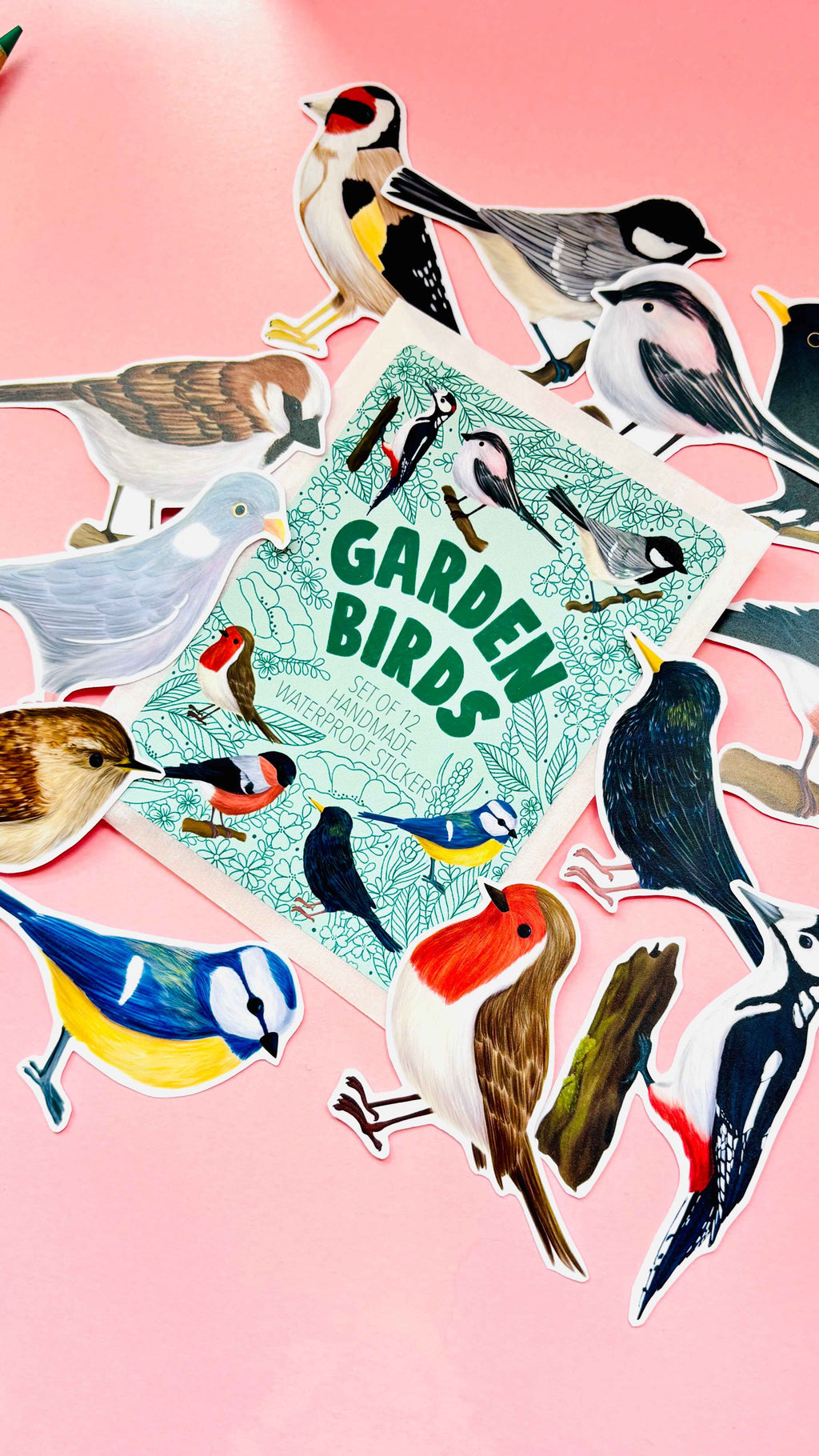 Garden Bird Sticker Gift Set- 7cm Vinyl Waterproof Stickers
