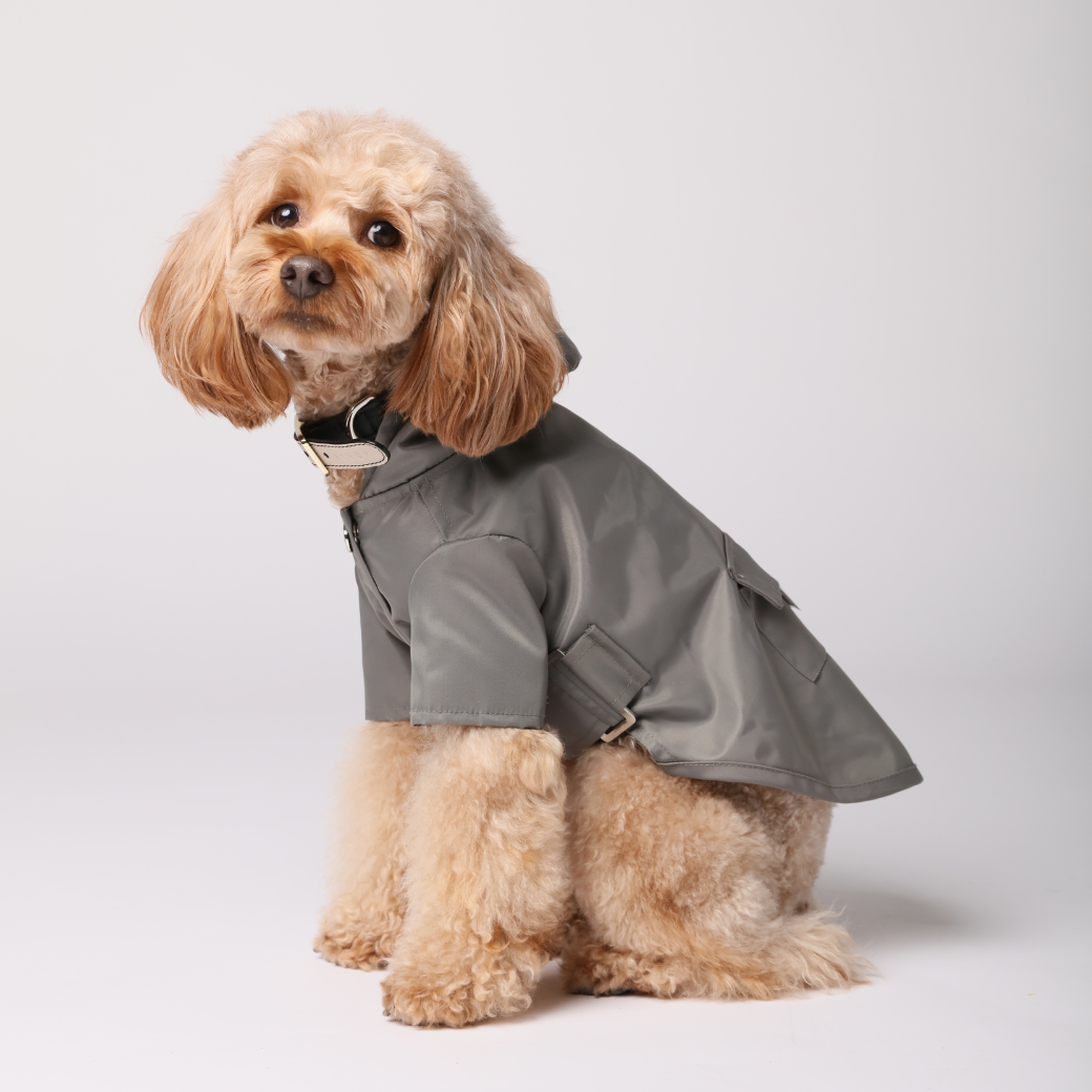 Bowery Raincoat in Gray