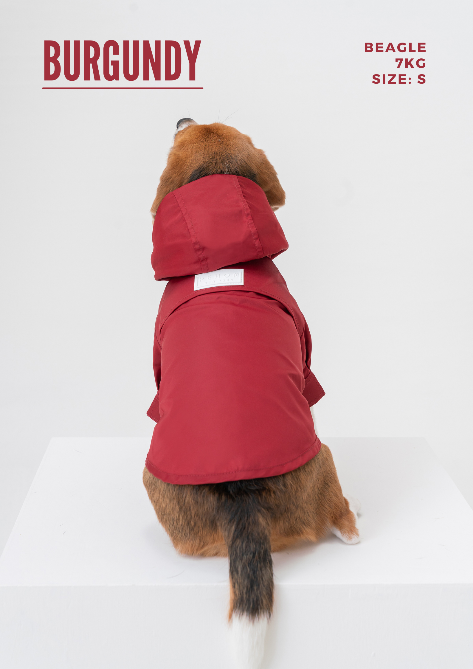 Adjustable Velcro Raincoat for Dogs in Burgundy