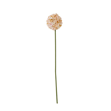 White apricot allium artificial flower with spherical umbel and green stem, 22 inches tall, for home decor. by Sostter at brixbailey.com