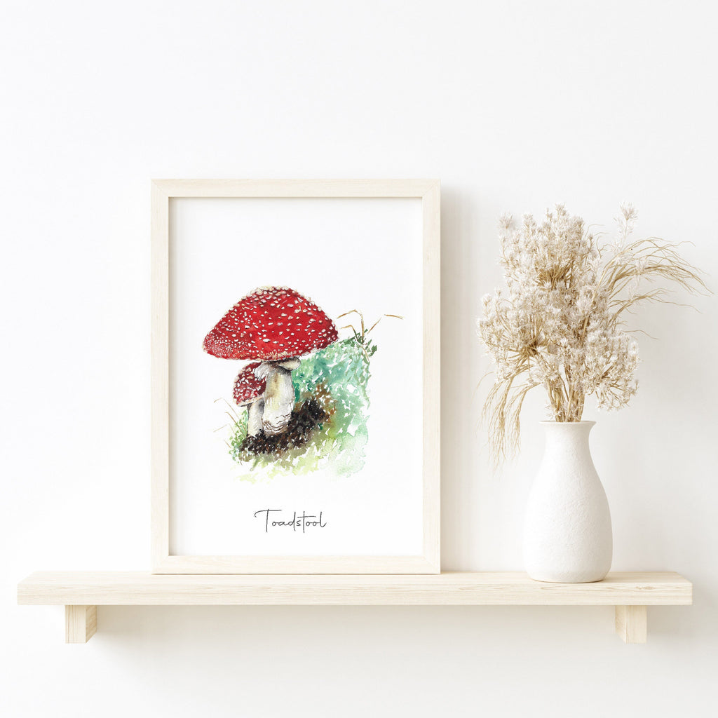 Toadstool Fine Art Print