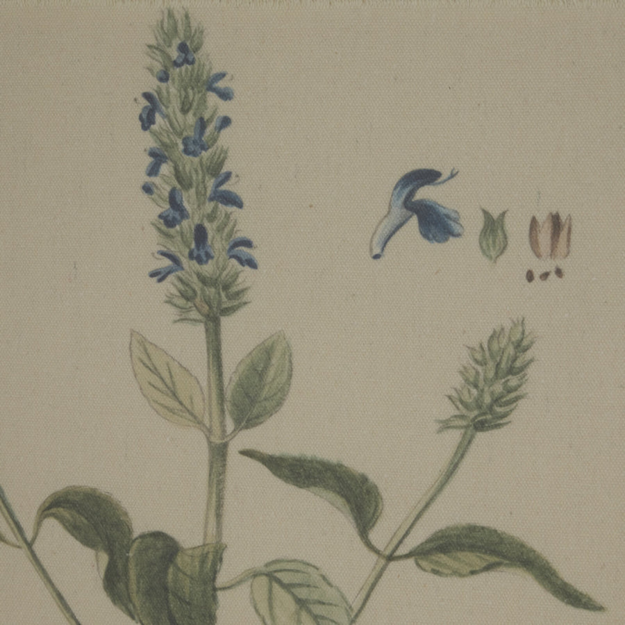Salvia botanical wall art with handcrafted beaded frame on natural linen, 50x40cm, neutral palette for elegant interiors by Sostter at brixbailey.com