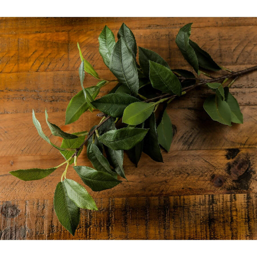 Handcrafted artificial laurel leaf spray with realistic green hues, flexible stems, and lifelike botanical details for home decor by Sostter at brixbailey.com