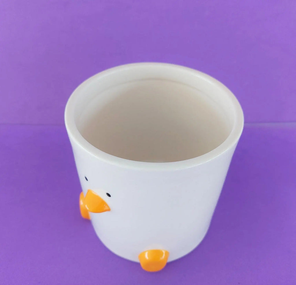 Duck Plant Pot (by Haus of Honk)