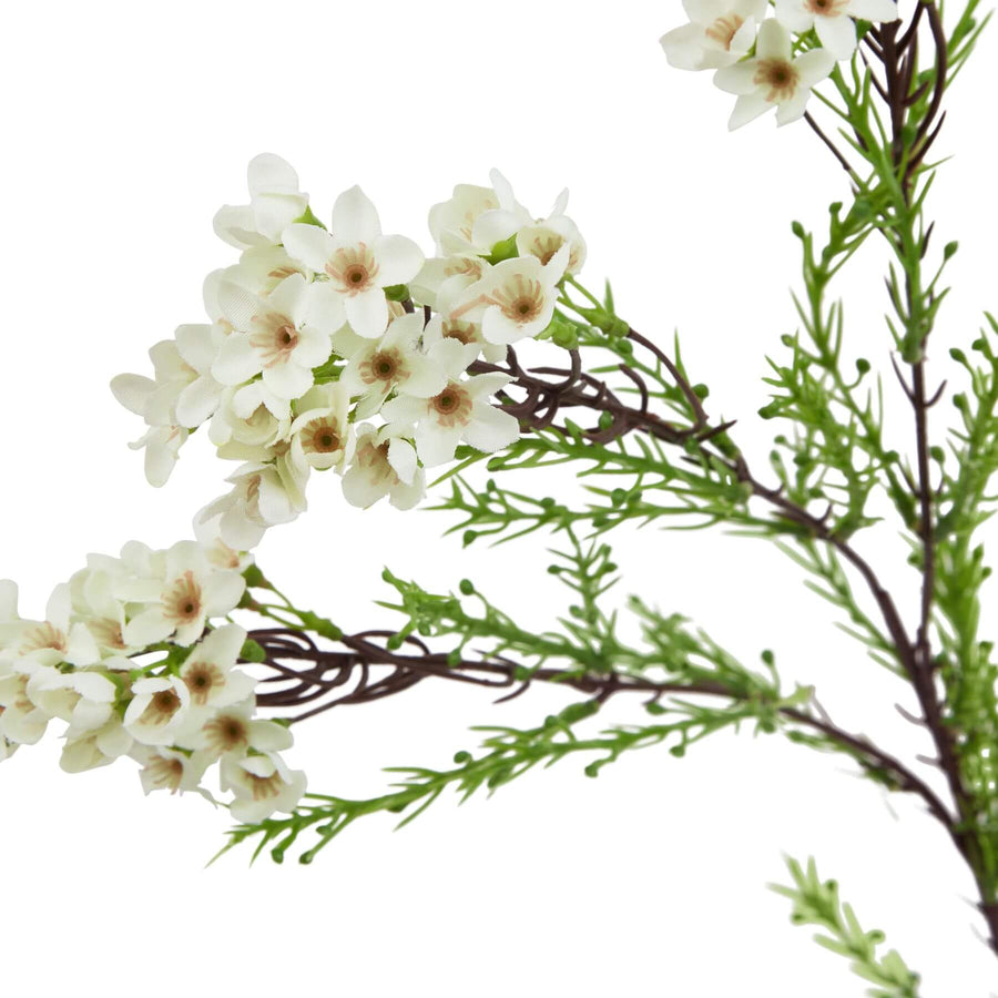 Lifelike white waxflower artificial stem with green foliage, 80cm tall, perfect for modern home decor. by Sostter at brixbailey.com