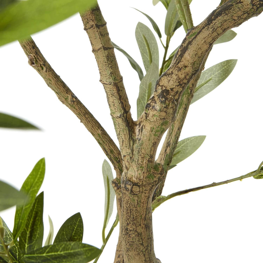 200cm lifelike Apulia Olive Tree with silvery-green leaves in white pot, Mediterranean artificial plant decor by Sostter at brixbailey.com