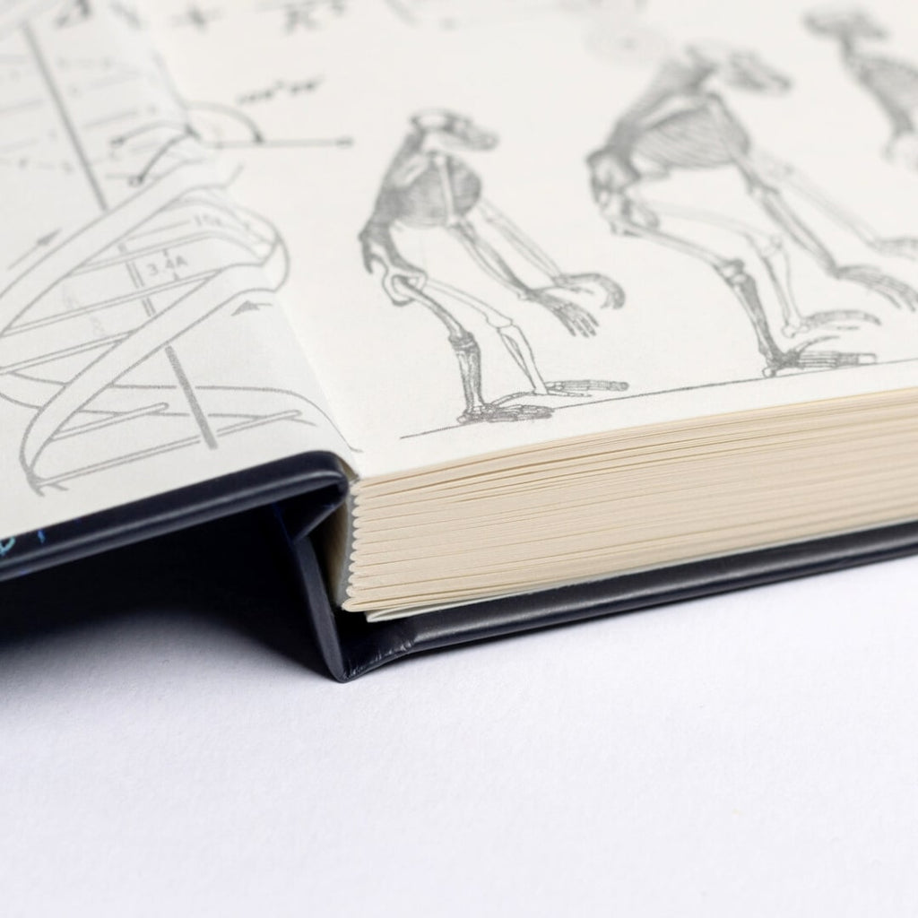 Quantum Physics A5 Hardcover Notebook