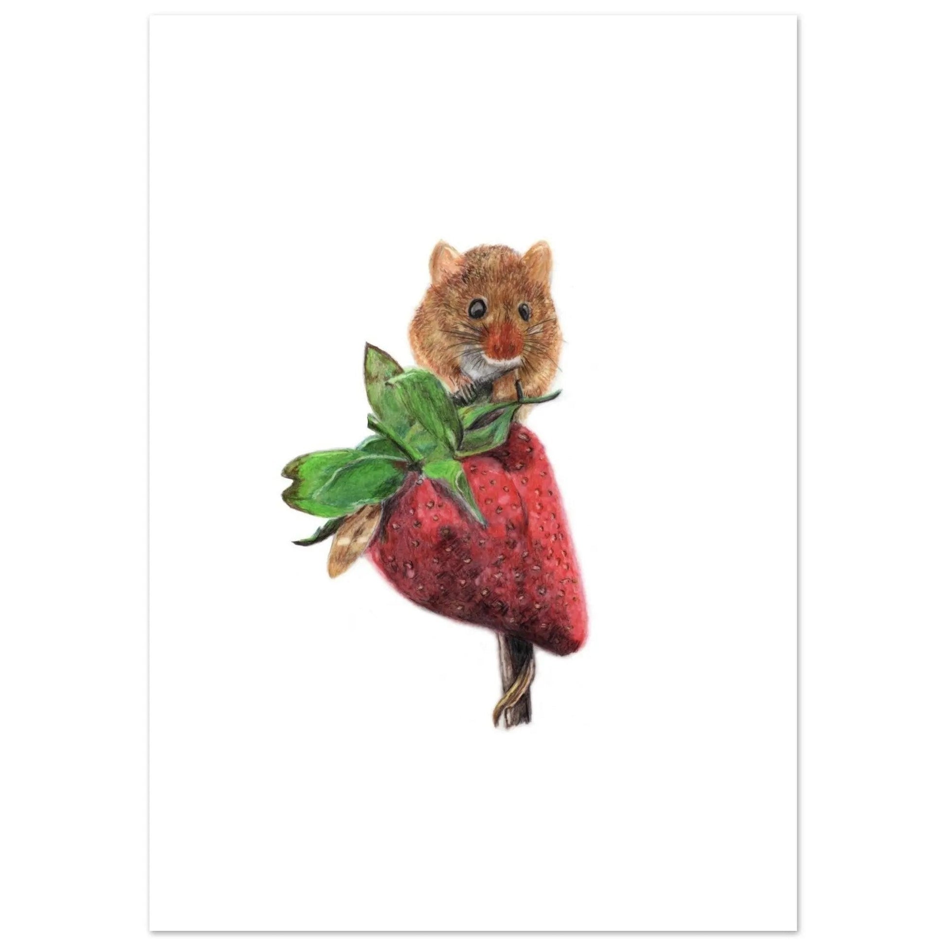 Harvest Mouse Artwork Print – Hand-Drawn Wildlife Wall Art (A4)