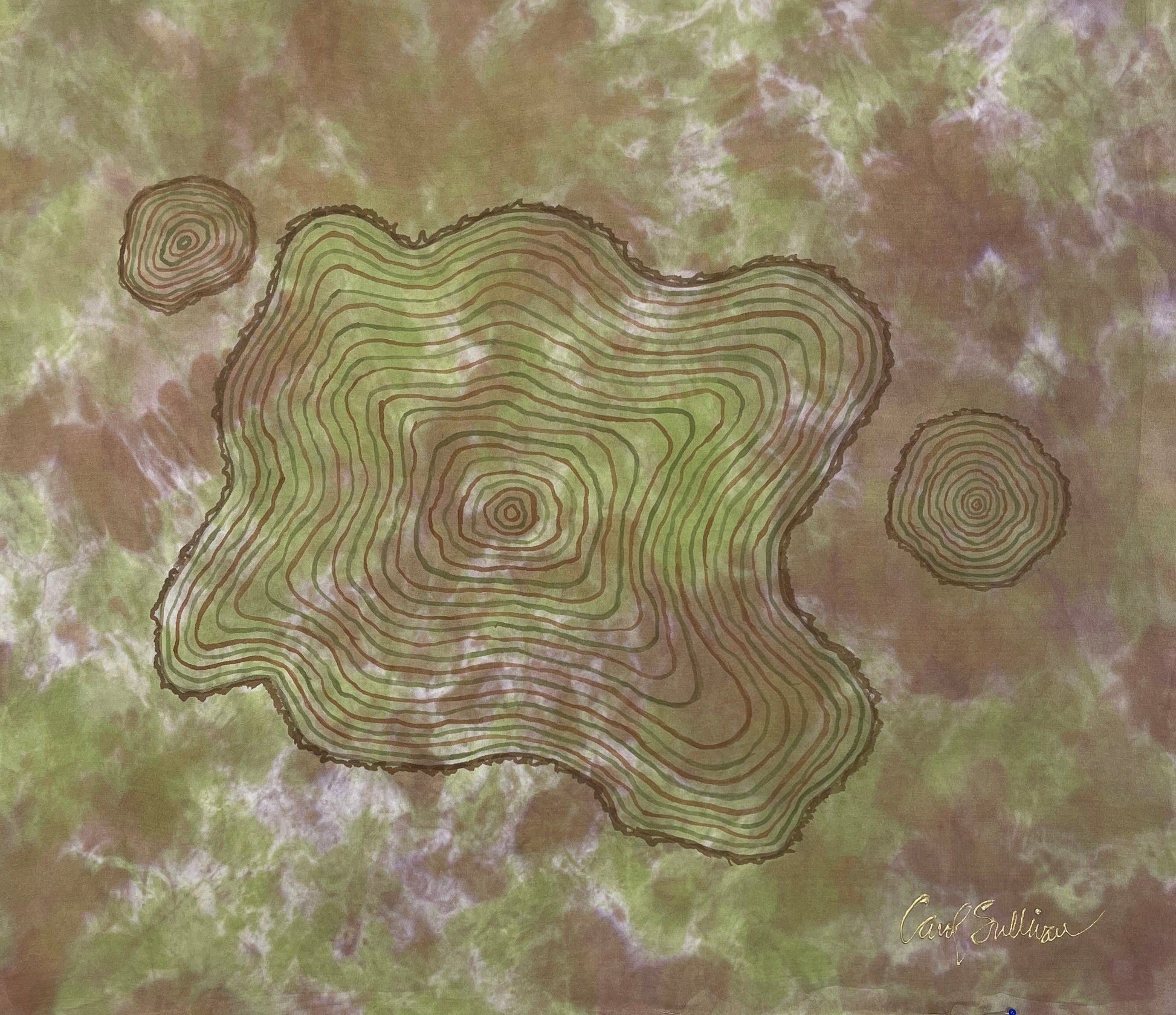 “Eastern Cedar Life Story” - Painting on Silk - $165