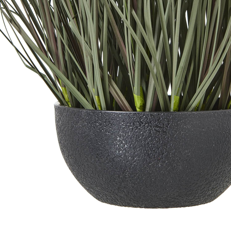 Lifelike faux fountain grass in natural green with feathery plumes, displayed in sleek black pot for home decor. by Sostter at brixbailey.com