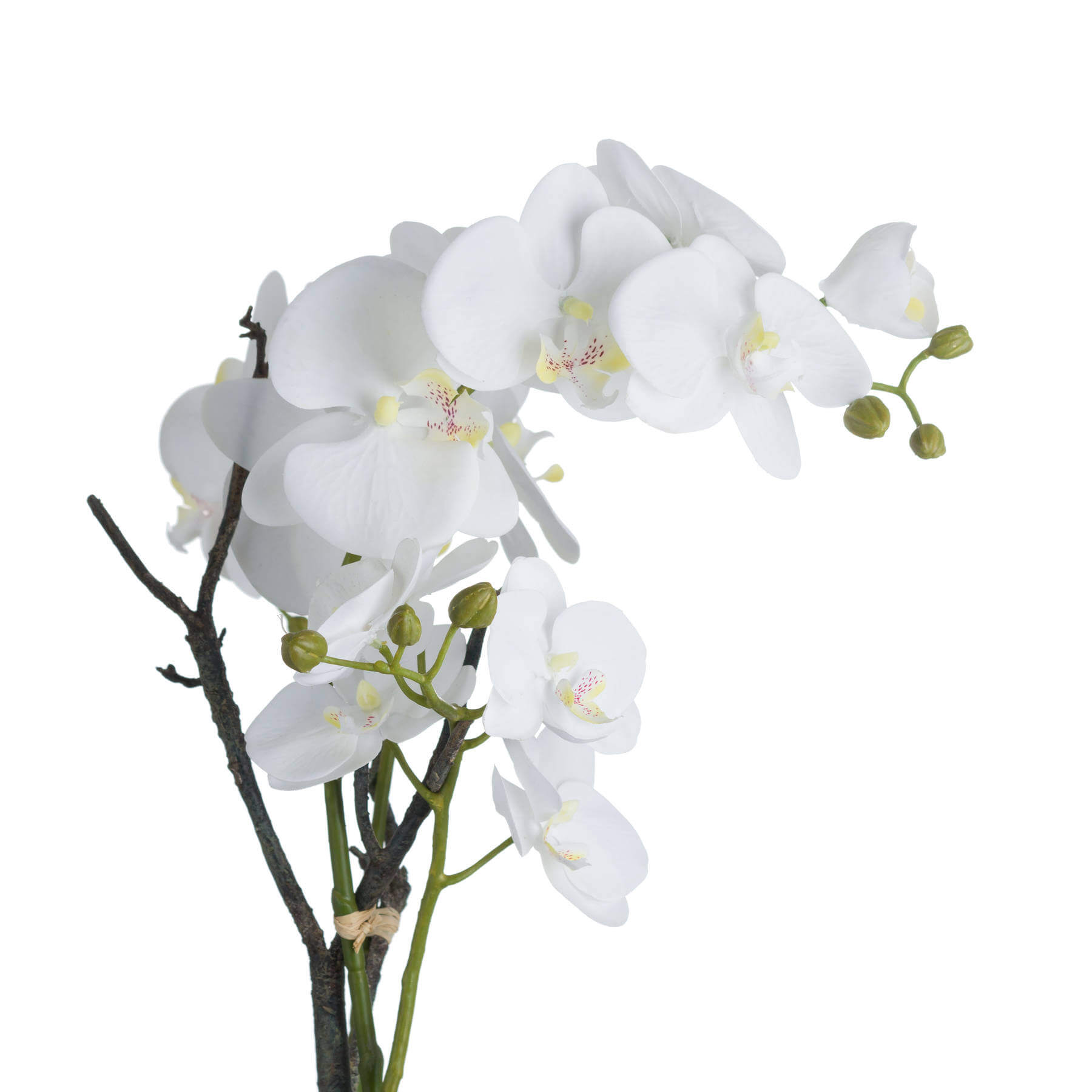 Lifelike white faux orchid in rustic stone pot, 70cm tall with realistic blooms and soil detailing for elegant home decor. by Sostter at brixbailey.com