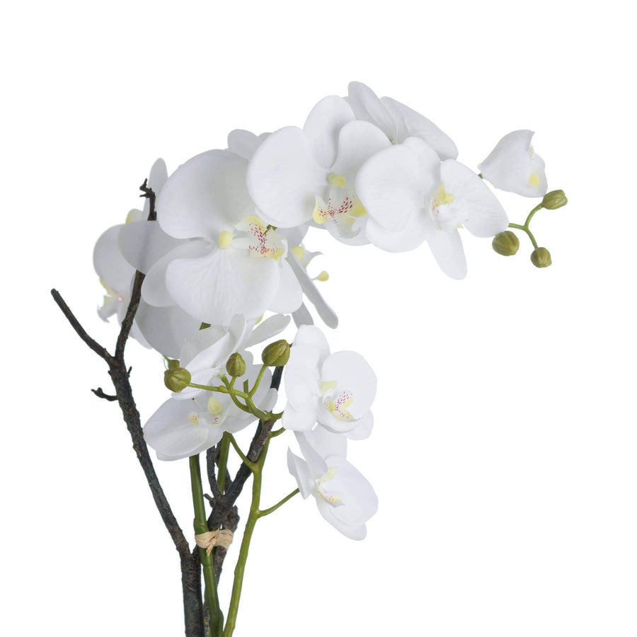 Lifelike white faux orchid in rustic stone pot, 70cm tall with realistic blooms and soil detailing for elegant home decor. by Sostter at brixbailey.com