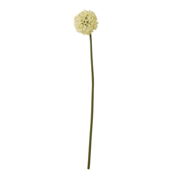 Cream Allium Stem artificial flower with spherical blooms, soft cream color, 75cm height, for modern or classic decor. by Sostter at brixbailey.com