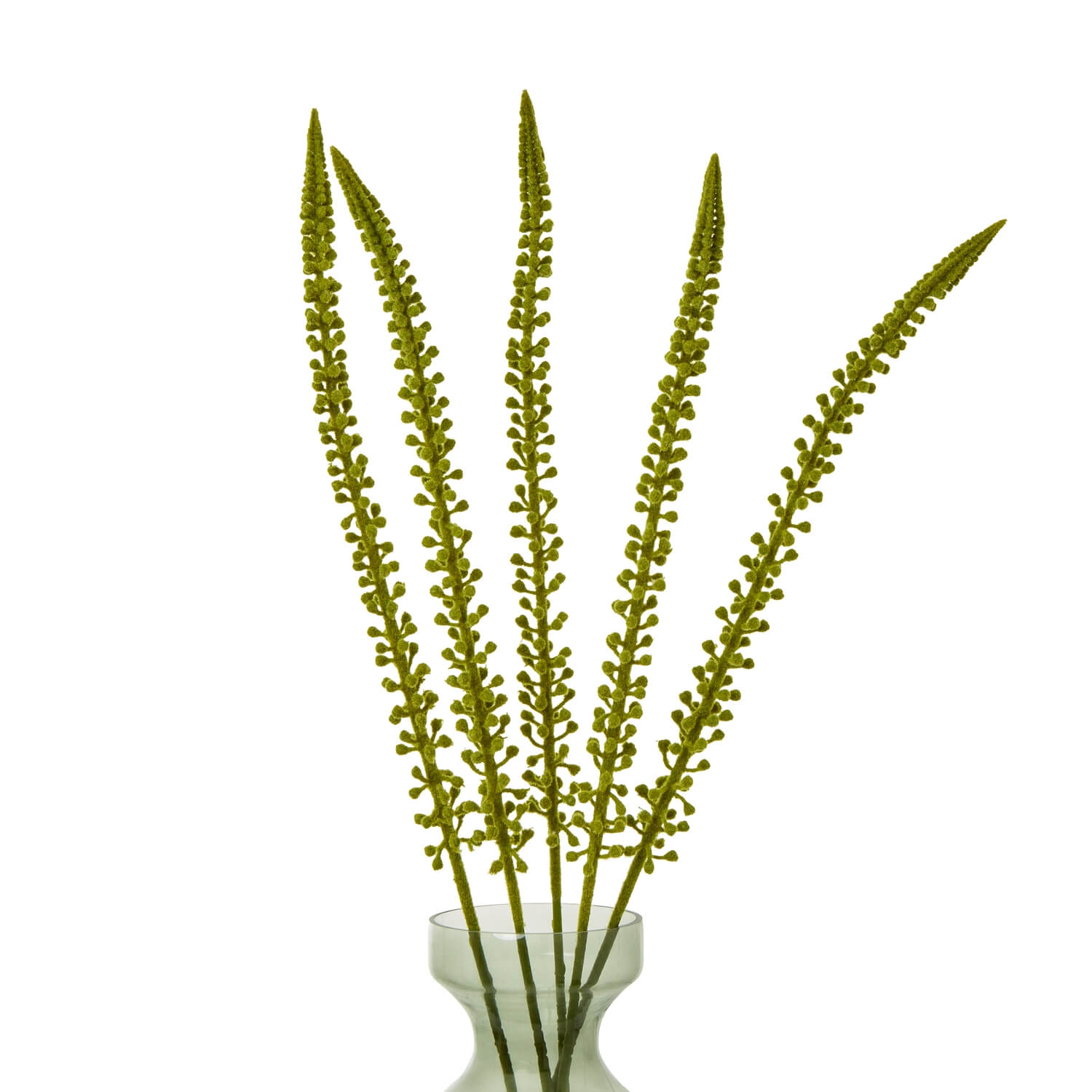 Eremurus faux floral stem in natural green, 88 cm tall, for modern farmhouse decor by Sostter at brixbailey.com