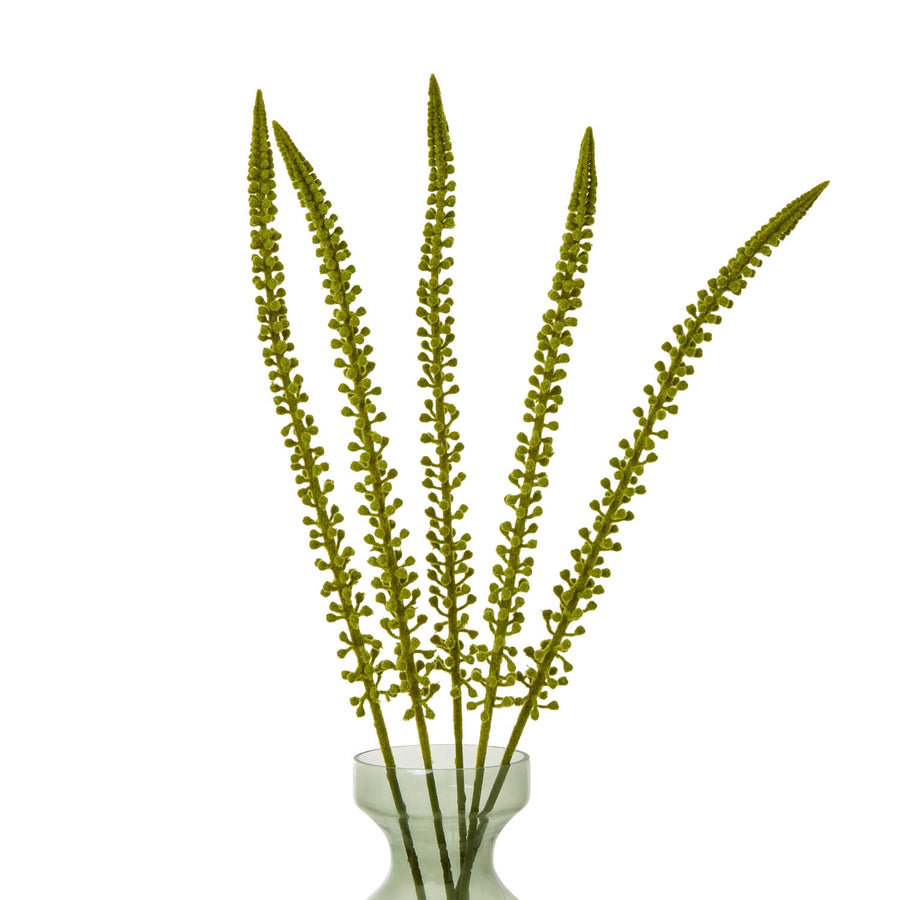 Eremurus faux floral stem in natural green, 88 cm tall, for modern farmhouse decor by Sostter at brixbailey.com