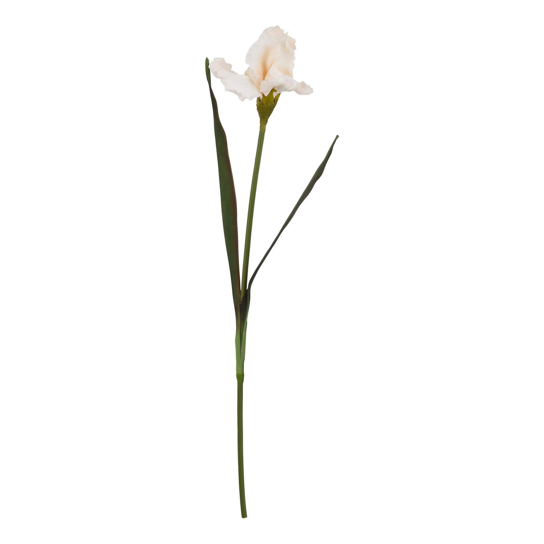 Artificial pale apricot fringed iris with lifelike petals in ceramic vase, perfect for home decor  by Sostter at brixbailey.com
