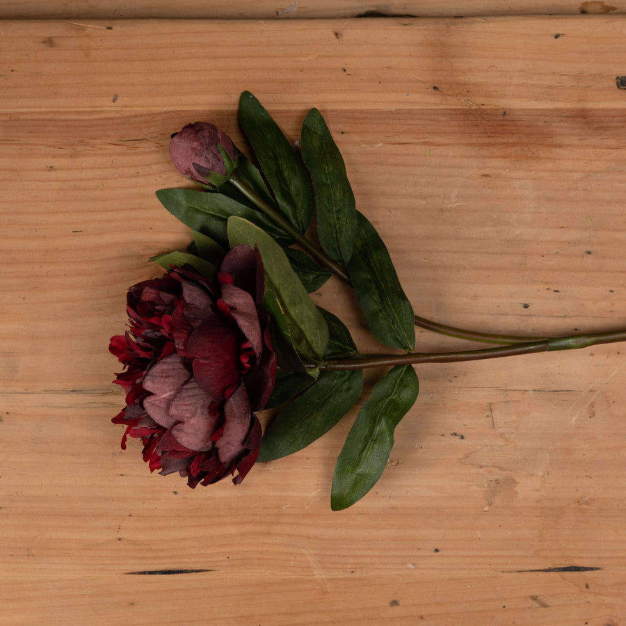 Burgundy faux peony stem with realistic petals and bud, perfect for floral arrangements and home decor. by Sostter at brixbailey.com