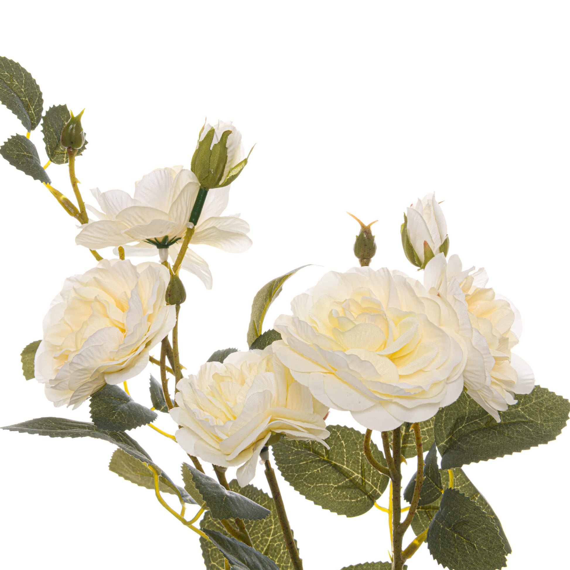 Soft white cottage rose stem with realistic ivory blooms and green foliage, perfect for floral arrangements. by Sostter at brixbailey.com