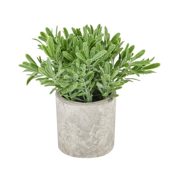 Lifelike artificial green botanical plant in stone-effect pot, 20cm tall, zero-maintenance decor for shelves or desks. by Sostter at brixbailey.com