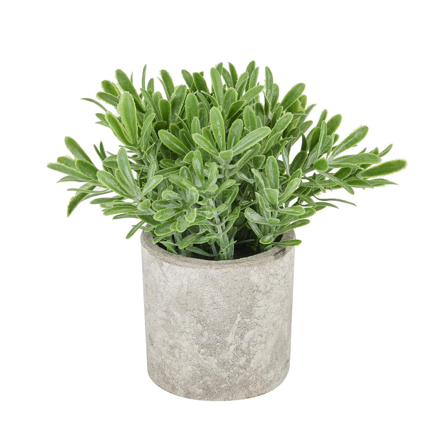 Lifelike artificial green botanical plant in stone-effect pot, 20cm tall, zero-maintenance decor for shelves or desks. by Sostter at brixbailey.com