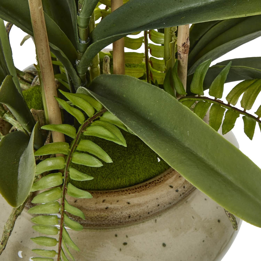 White faux Vanda orchid in ceramic pot with lifelike blooms and green foliage, elegant home decor by Sostter at brixbailey.com