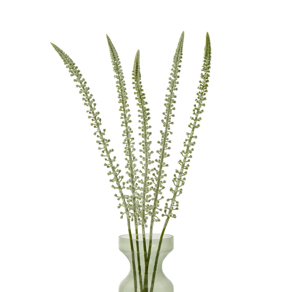 White faux foxtail lily stem with cascading florets, 88cm tall, for modern farmhouse or minimalist decor by Sostter at brixbailey.com