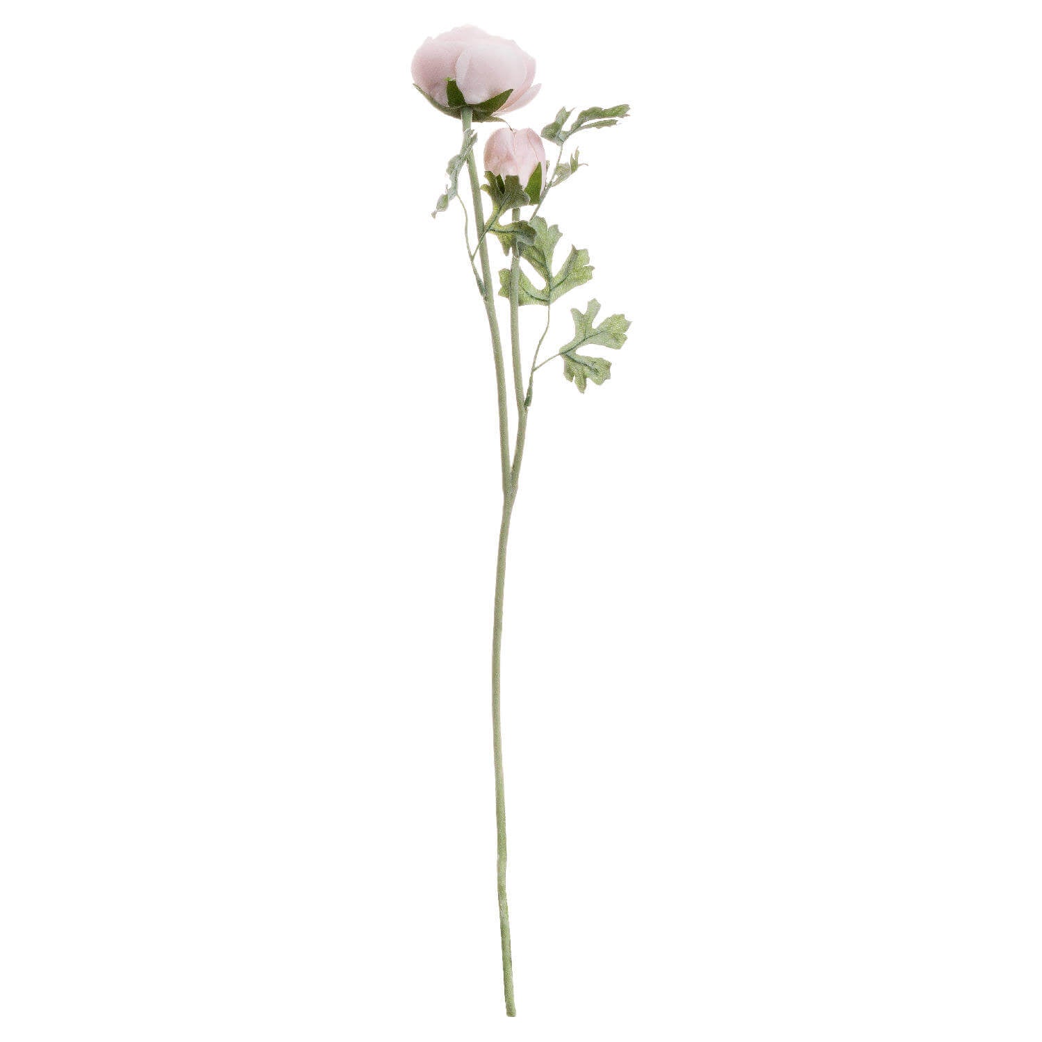Soft pink artificial Persian buttercup stems with realistic buds and blooms, handcrafted from premium silk-free synthetic material. by Sostter at brixbailey.com
