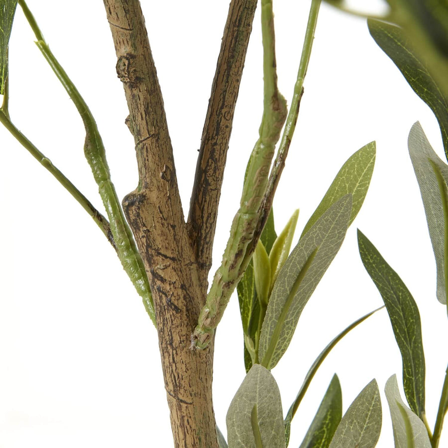 150cm artificial Apulia Olive Tree with silvery-green leaves, gnarled trunk, and olives in white planter by Sostter at brixbailey.com