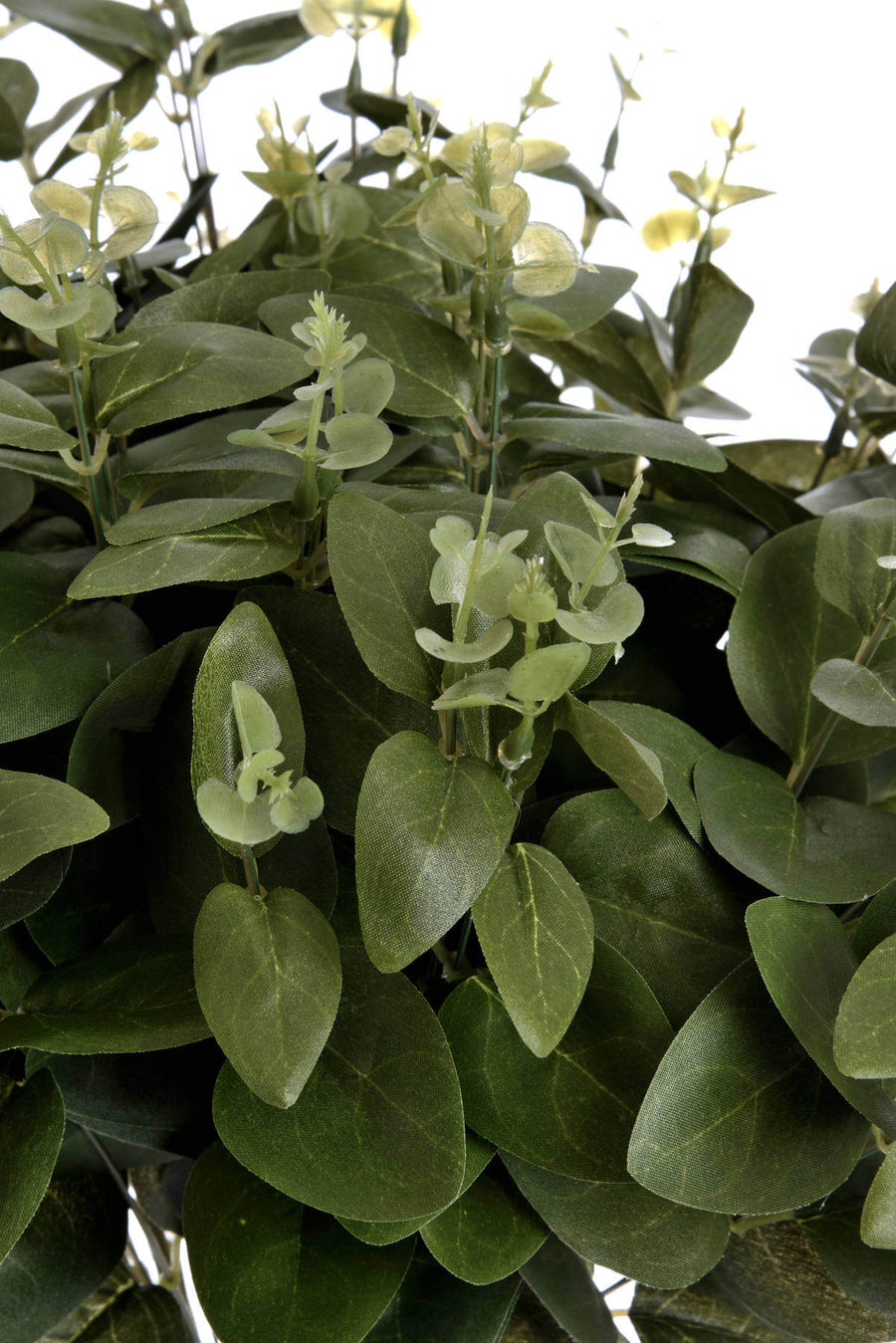 Dark green cineraria eucalyptus spray with realistic plastic leaves, 62cm tall, for home decor and floral arrangements by Sostter at brixbailey.com