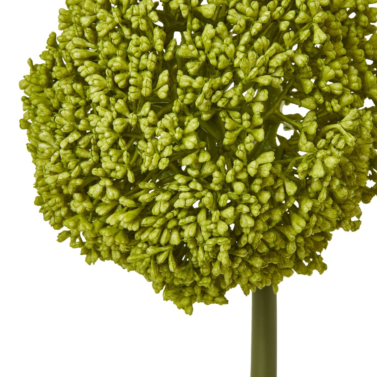 Green Allium stem with spherical bloom, lifelike faux floral in natural green, 75cm tall for vase arrangements by Sostter at brixbailey.com