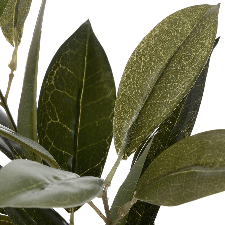 Faux bay leaf spray with realistic emerald foliage, 75cm tall, for Mediterranean kitchen decor or table centerpiece by Sostter at brixbailey.com