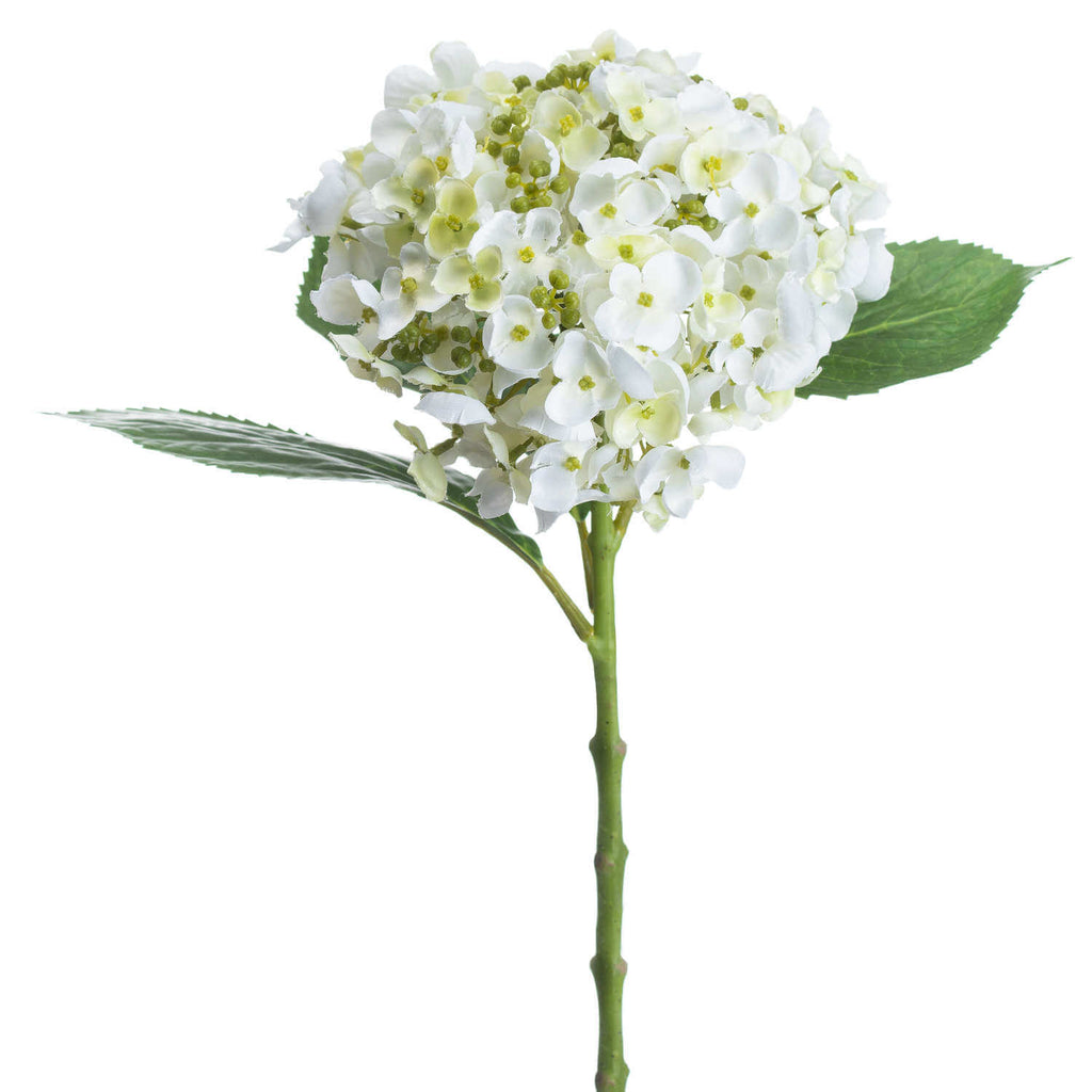 White lace cap hydrangea artificial flower with realistic clustered florets, UV-resistant plastic, 48cm height, year-round decor by Sostter at brixbailey.com