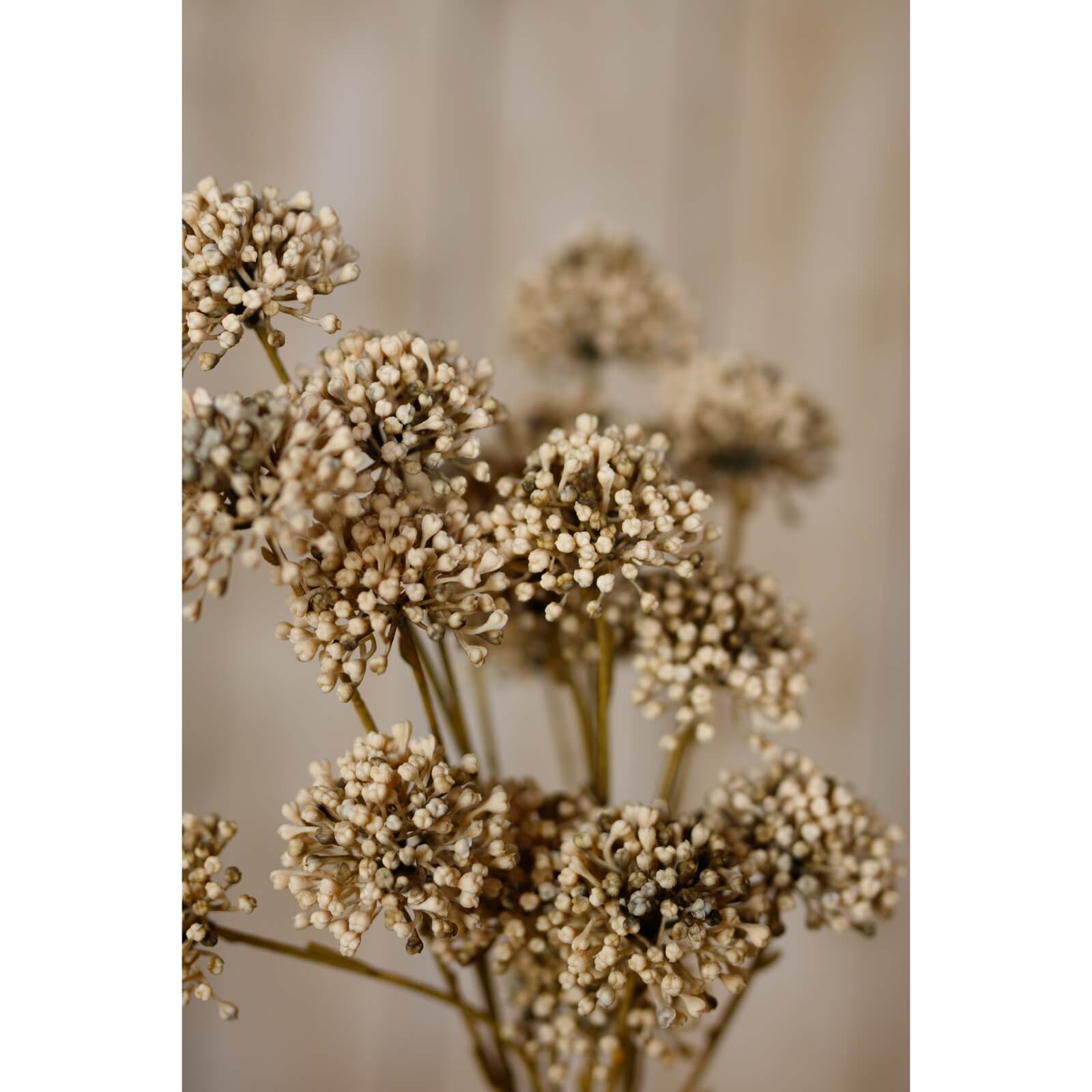 Brown Allium spray with lifelike spherical blooms in warm earthy tones, perfect for rustic or modern home decor. by RoomLondon at brixbailey.com