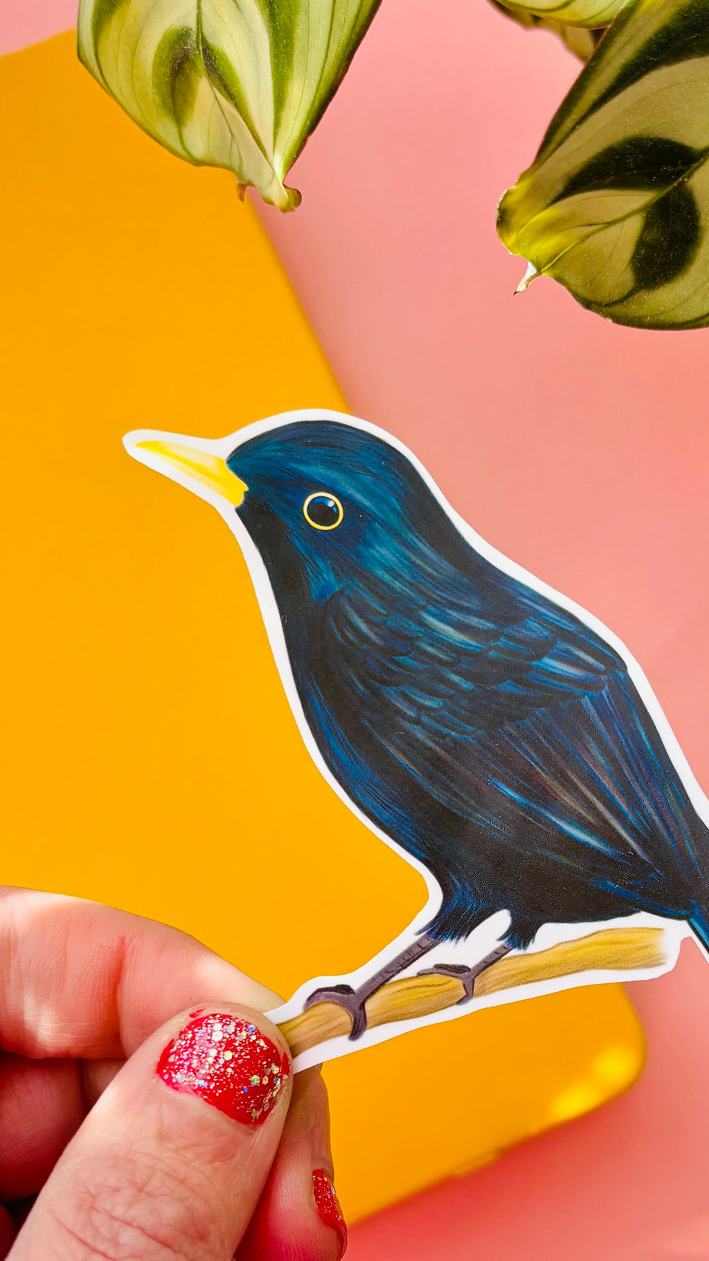 Blackbird Vinyl Sticker- British Wildlife Art Waterproof Sticker