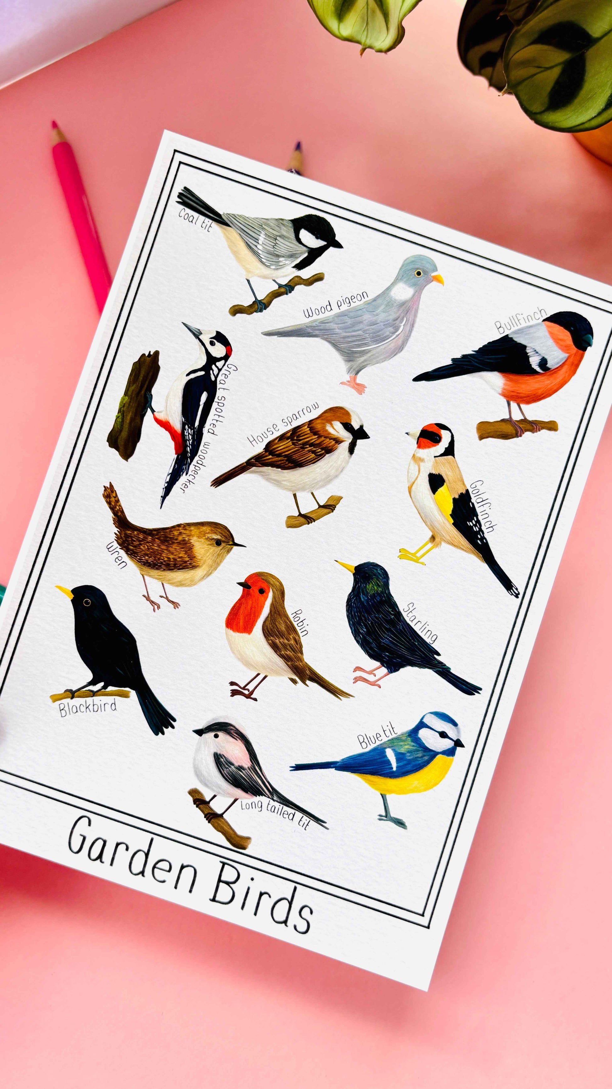 Garden British Birds Art Print-: Multiple Sizes available